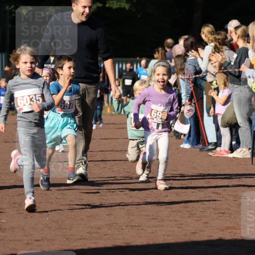 27.09.2026 - 35. Volkslauf durch das schöne Alstertal Strokosch-Dieckow http://msf.ph/oto/10587420 27.09.2026 10:43:18 Ziel 16035, 6978, 69 meine-sportfotos.de