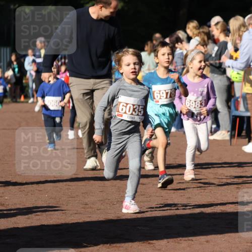 27.09.2026 - 35. Volkslauf durch das schöne Alstertal Strokosch-Dieckow http://msf.ph/oto/10587424 27.09.2026 10:43:19 Ziel 6060, 16035, 6978, 6983 meine-sportfotos.de