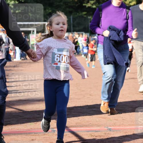 27.09.2026 - 35. Volkslauf durch das schöne Alstertal Strokosch-Dieckow http://msf.ph/oto/10587431 27.09.2026 10:43:21 Ziel 600 meine-sportfotos.de