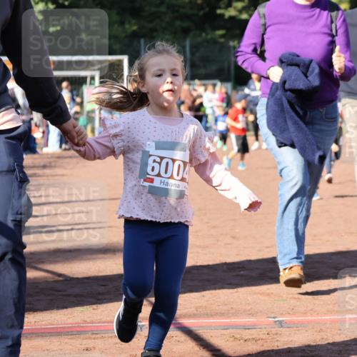 27.09.2026 - 35. Volkslauf durch das schöne Alstertal Strokosch-Dieckow http://msf.ph/oto/10587432 27.09.2026 10:43:21 Ziel 6004 meine-sportfotos.de
