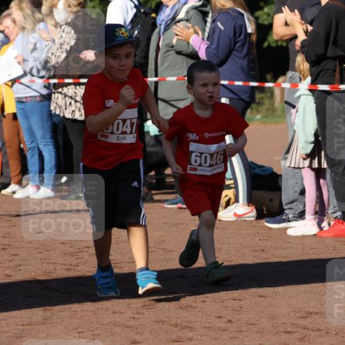 27.09.2026 - 35. Volkslauf durch das schöne Alstertal Strokosch-Dieckow http://msf.ph/oto/10587439 27.09.2026 10:43:29 Ziel 6014, 047, 6046 meine-sportfotos.de