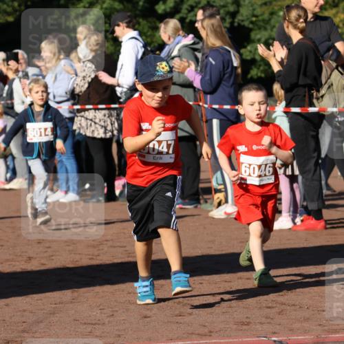 27.09.2026 - 35. Volkslauf durch das schöne Alstertal Strokosch-Dieckow http://msf.ph/oto/10587442 27.09.2026 10:43:30 Ziel 6014, 047, 6046, 70 meine-sportfotos.de