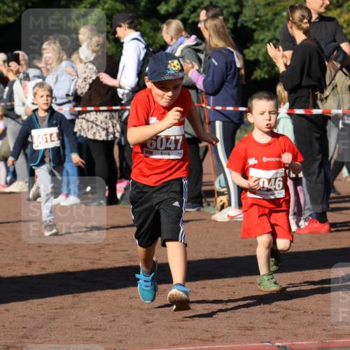 27.09.2026 - 35. Volkslauf durch das schöne Alstertal Strokosch-Dieckow http://msf.ph/oto/10587443 27.09.2026 10:43:30 Ziel 46014, 6047, 3046 meine-sportfotos.de