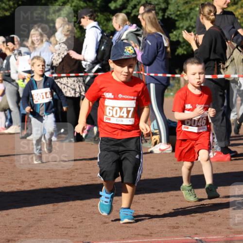 27.09.2026 - 35. Volkslauf durch das schöne Alstertal Strokosch-Dieckow http://msf.ph/oto/10587445 27.09.2026 10:43:30 Ziel 6014, 6047, 6046 meine-sportfotos.de