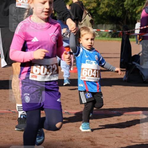 27.09.2026 - 35. Volkslauf durch das schöne Alstertal Strokosch-Dieckow http://msf.ph/oto/10587475 27.09.2026 10:43:48 Ziel 02, 16032, 6041 meine-sportfotos.de