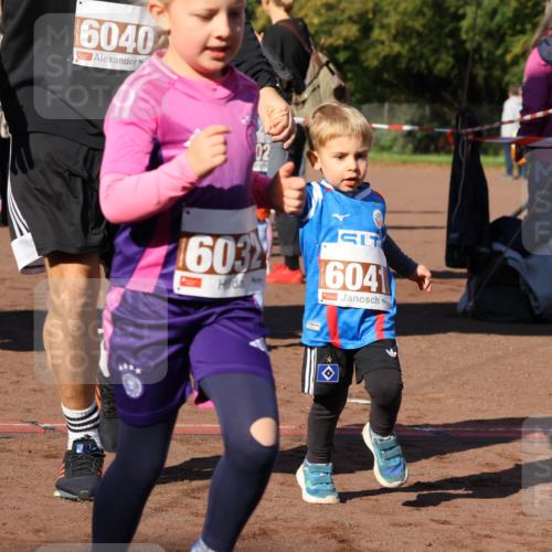 27.09.2026 - 35. Volkslauf durch das schöne Alstertal Strokosch-Dieckow http://msf.ph/oto/10587476 27.09.2026 10:43:48 Ziel 6040, 603, 6041 meine-sportfotos.de