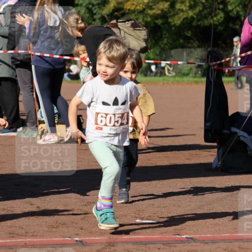 27.09.2026 - 35. Volkslauf durch das schöne Alstertal Strokosch-Dieckow http://msf.ph/oto/10587487 27.09.2026 10:44:10 Ziel 6049, 6054 meine-sportfotos.de