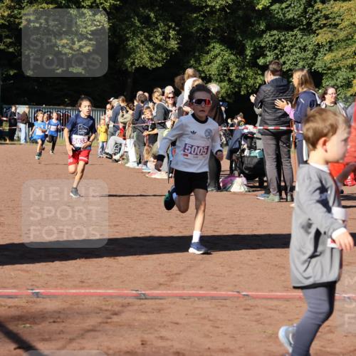 27.09.2026 - 35. Volkslauf durch das schöne Alstertal Strokosch-Dieckow http://msf.ph/oto/10587515 27.09.2026 10:44:35 Ziel 5032, 5005, 5003, 5005, 5032 meine-sportfotos.de