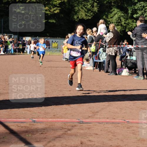 27.09.2026 - 35. Volkslauf durch das schöne Alstertal Strokosch-Dieckow http://msf.ph/oto/10587520 27.09.2026 10:44:37 Ziel 500, 5032, 5003, 5005, 5032, 5036, 5043 meine-sportfotos.de