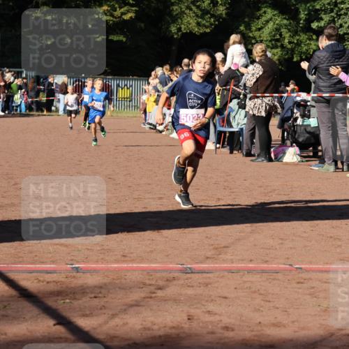 27.09.2026 - 35. Volkslauf durch das schöne Alstertal Strokosch-Dieckow http://msf.ph/oto/10587523 27.09.2026 10:44:37 Ziel 5022, 96, 5003, 5005, 5032, 5036, 5043 meine-sportfotos.de