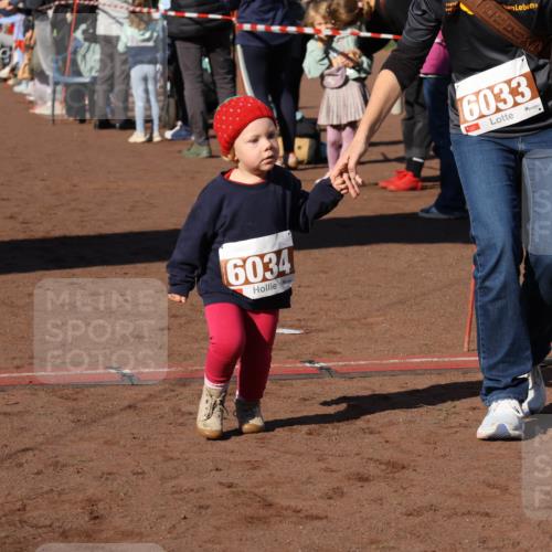 27.09.2026 - 35. Volkslauf durch das schöne Alstertal Strokosch-Dieckow http://msf.ph/oto/10587597 27.09.2026 10:45:36 Ziel 6034, 6033, 5030, 5060 meine-sportfotos.de