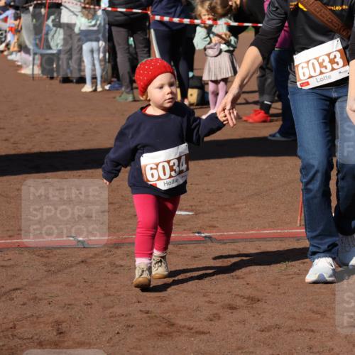 27.09.2026 - 35. Volkslauf durch das schöne Alstertal Strokosch-Dieckow http://msf.ph/oto/10587598 27.09.2026 10:45:36 Ziel 6034, 6033, 5030, 5060 meine-sportfotos.de