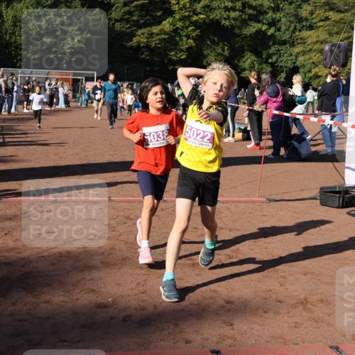27.09.2026 - 35. Volkslauf durch das schöne Alstertal Strokosch-Dieckow http://msf.ph/oto/10587645 27.09.2026 10:46:11 Ziel 6026, 5038, 1, 5022, 5019, 5022, 5023, 5029, 5038, 5039, 5045, 5051, 5074, 5975, 5980 meine-sportfotos.de