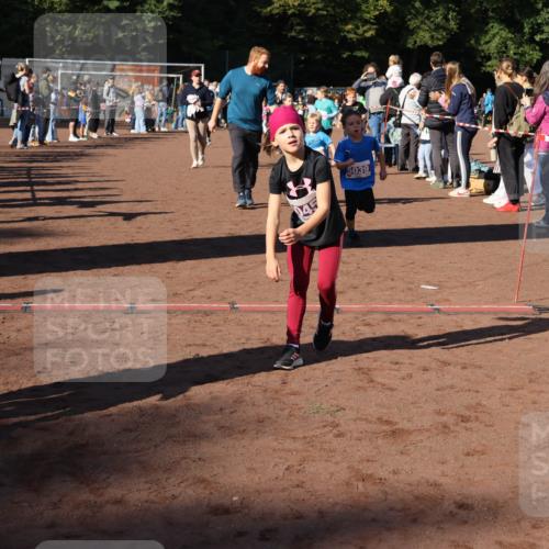 27.09.2026 - 35. Volkslauf durch das schöne Alstertal Strokosch-Dieckow http://msf.ph/oto/10587650 27.09.2026 10:46:13 Ziel 026, 5074, 111, 5039, 5019, 5022, 5023, 5026, 5027, 5029, 5039, 5045, 5051, 5055, 5058, 5074, 5975 meine-sportfotos.de