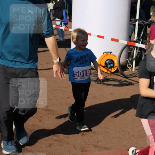 27.09.2026 - 35. Volkslauf durch das schöne Alstertal Strokosch-Dieckow http://msf.ph/oto/10587655 27.09.2026 10:46:18 Ziel 5019, 504, 5004, 5009, 5010, 5019, 5023, 5026, 5027, 5029, 5051, 5055, 5058, 5074, 5975 meine-sportfotos.de