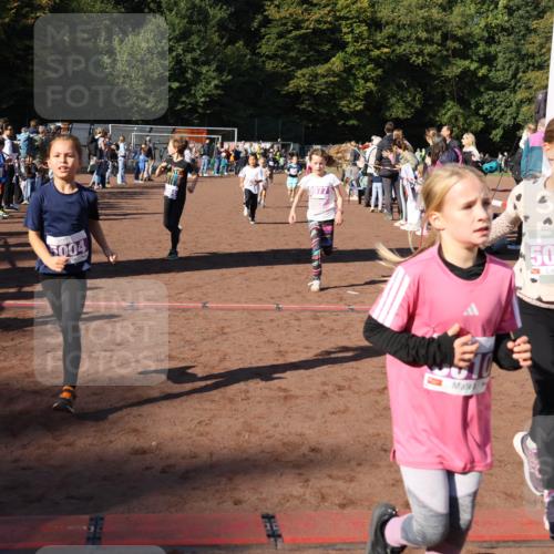 27.09.2026 - 35. Volkslauf durch das schöne Alstertal Strokosch-Dieckow http://msf.ph/oto/10587661 27.09.2026 10:46:28 Ziel 5004, 500, 5004, 5009, 5010, 5040, 5073, 5976, 5977, 5979, 5984 meine-sportfotos.de