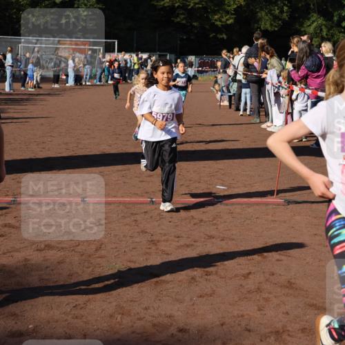 27.09.2026 - 35. Volkslauf durch das schöne Alstertal Strokosch-Dieckow http://msf.ph/oto/10587669 27.09.2026 10:46:31 Ziel 5984, 0, 5979, 5977, 5040, 5073, 5976, 5977, 5979, 5984 meine-sportfotos.de