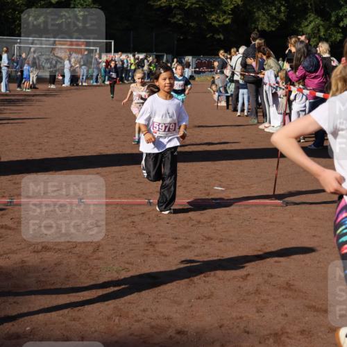 27.09.2026 - 35. Volkslauf durch das schöne Alstertal Strokosch-Dieckow http://msf.ph/oto/10587670 27.09.2026 10:46:31 Ziel 5984, 5073, 5979, 5977, 5040, 5073, 5976, 5977, 5979, 5984 meine-sportfotos.de
