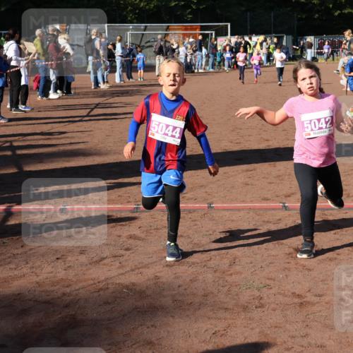 27.09.2026 - 35. Volkslauf durch das schöne Alstertal Strokosch-Dieckow http://msf.ph/oto/10587709 27.09.2026 10:46:49 Ziel 5044, 5042, 5061, 5033, 5042, 5044, 5052, 5061 meine-sportfotos.de