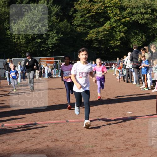 27.09.2026 - 35. Volkslauf durch das schöne Alstertal Strokosch-Dieckow http://msf.ph/oto/10587715 27.09.2026 10:46:58 Ziel 5033, 5052, 5035, 5014, 5033, 5035, 5052, 5981 meine-sportfotos.de