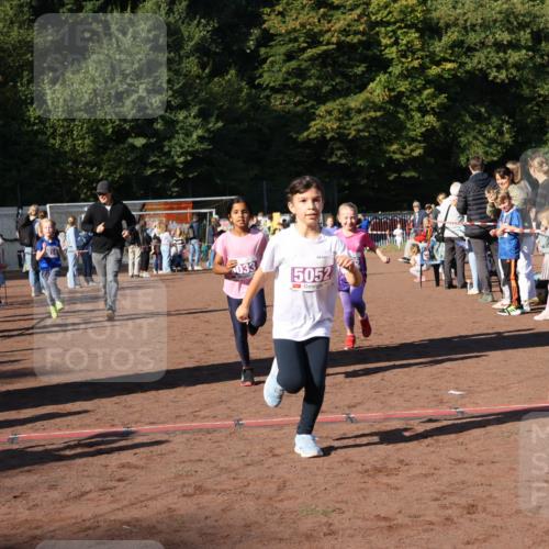 27.09.2026 - 35. Volkslauf durch das schöne Alstertal Strokosch-Dieckow http://msf.ph/oto/10587717 27.09.2026 10:46:58 Ziel 033, 5052, 5014, 5033, 5035, 5052, 5981 meine-sportfotos.de