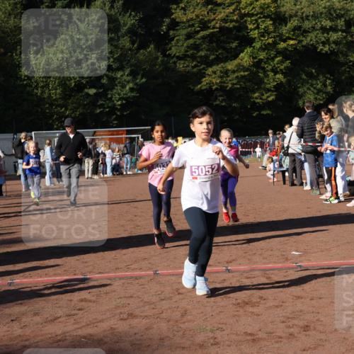 27.09.2026 - 35. Volkslauf durch das schöne Alstertal Strokosch-Dieckow http://msf.ph/oto/10587718 27.09.2026 10:46:58 Ziel 5052, 5014, 5033, 5035, 5052, 5981 meine-sportfotos.de