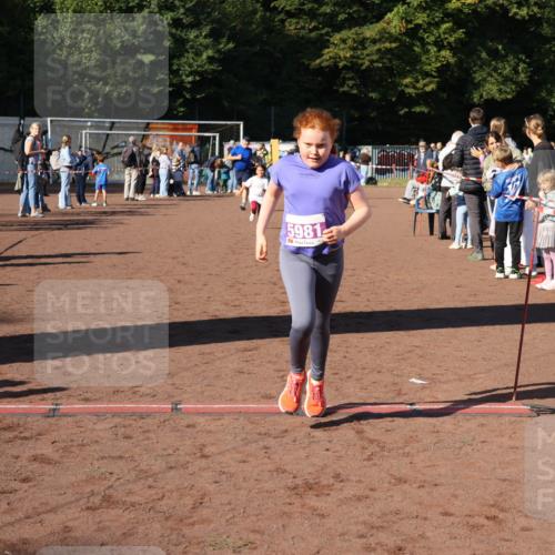 27.09.2026 - 35. Volkslauf durch das schöne Alstertal Strokosch-Dieckow http://msf.ph/oto/10587728 27.09.2026 10:47:06 Ziel 5981, 5054, 5981 meine-sportfotos.de