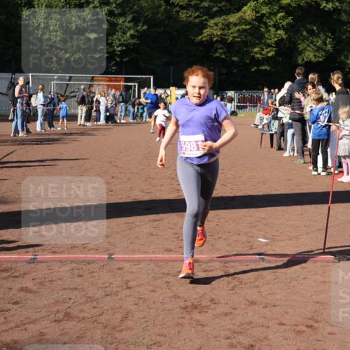 27.09.2026 - 35. Volkslauf durch das schöne Alstertal Strokosch-Dieckow http://msf.ph/oto/10587729 27.09.2026 10:47:07 Ziel 5981, 5054, 5981 meine-sportfotos.de