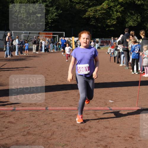 27.09.2026 - 35. Volkslauf durch das schöne Alstertal Strokosch-Dieckow http://msf.ph/oto/10587731 27.09.2026 10:47:07 Ziel 5981, 5054, 5981 meine-sportfotos.de