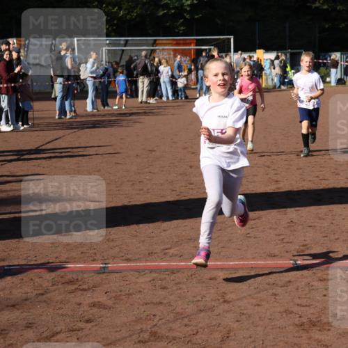 27.09.2026 - 35. Volkslauf durch das schöne Alstertal Strokosch-Dieckow http://msf.ph/oto/10587743 27.09.2026 10:47:17 Ziel 5048, 5049, 5053 meine-sportfotos.de