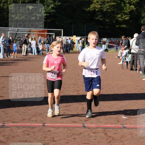 27.09.2026 - 35. Volkslauf durch das schöne Alstertal Strokosch-Dieckow http://msf.ph/oto/10587748 27.09.2026 10:47:20 Ziel 048, 5049, 5048, 5049, 5053 meine-sportfotos.de