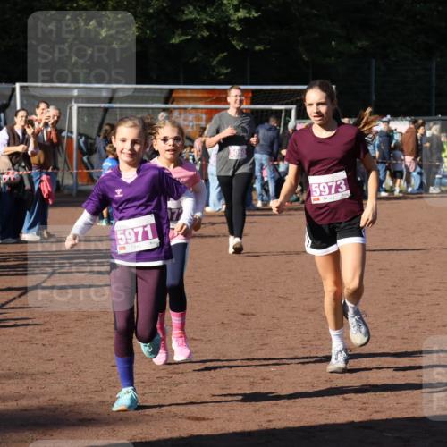 27.09.2026 - 35. Volkslauf durch das schöne Alstertal Strokosch-Dieckow http://msf.ph/oto/10587780 27.09.2026 10:48:27 Ziel 5971, 5050, 5973, 5050, 5971, 5972, 5973 meine-sportfotos.de