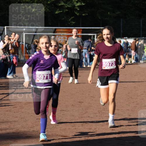 27.09.2026 - 35. Volkslauf durch das schöne Alstertal Strokosch-Dieckow http://msf.ph/oto/10587784 27.09.2026 10:48:28 Ziel 5971, 5050, 5973, 5050, 5971, 5972, 5973 meine-sportfotos.de