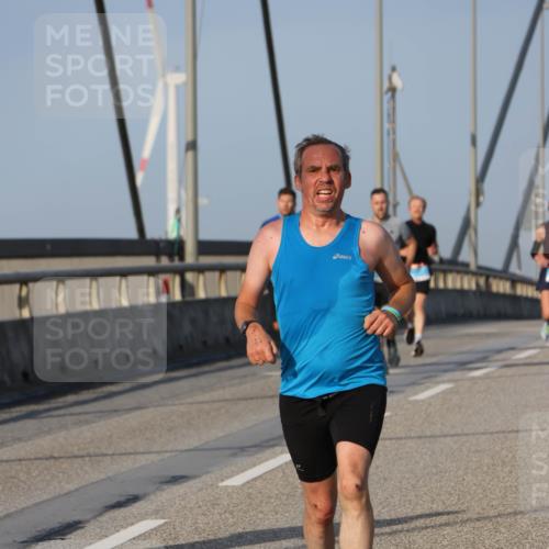 03.10.2026 - Köhlbrandbrückenlauf Strokosch-Dieckow http://msf.ph/oto/10601046 03.10.2026 09:36:20 Position 2  meine-sportfotos.de