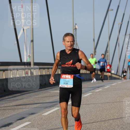 03.10.2026 - Köhlbrandbrückenlauf Strokosch-Dieckow http://msf.ph/oto/10601600 03.10.2026 09:37:00 Position 2 3836 meine-sportfotos.de