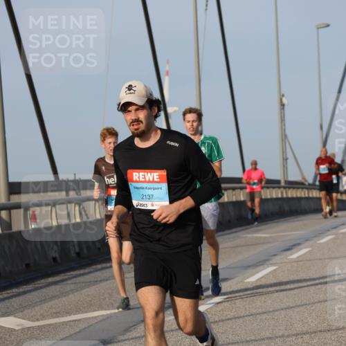 03.10.2026 - Köhlbrandbrückenlauf Strokosch-Dieckow http://msf.ph/oto/10602726 03.10.2026 09:38:40 Position 2 2137 meine-sportfotos.de