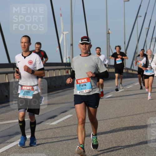 03.10.2026 - Köhlbrandbrückenlauf Strokosch-Dieckow http://msf.ph/oto/10603595 03.10.2026 09:40:02 Position 2 2294, 2182 meine-sportfotos.de