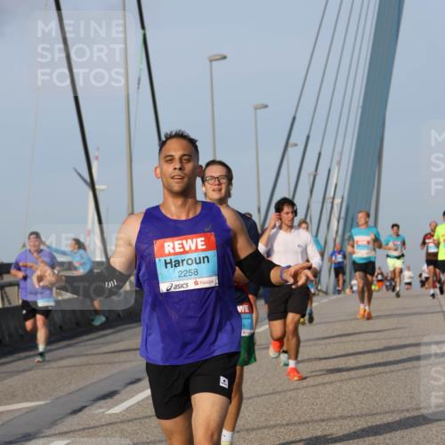 03.10.2026 - Köhlbrandbrückenlauf Strokosch-Dieckow http://msf.ph/oto/10603938 03.10.2026 09:40:27 Position 2 2258 meine-sportfotos.de