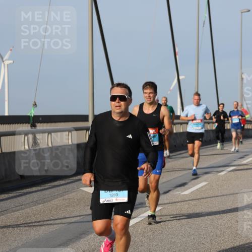 03.10.2026 - Köhlbrandbrückenlauf Strokosch-Dieckow http://msf.ph/oto/10605744 03.10.2026 09:43:51 Position 2 1280 meine-sportfotos.de
