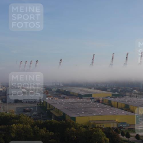03.10.2026 - Köhlbrandbrückenlauf Tim E. http://msf.ph/oto/10606020 03.10.2026 09:08:15 Position 1  meine-sportfotos.de