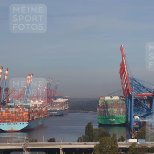 03.10.2026 - Köhlbrandbrückenlauf Tim E. http://msf.ph/oto/10606047 03.10.2026 09:08:33 Position 1  meine-sportfotos.de