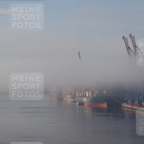 03.10.2026 - Köhlbrandbrückenlauf Tim E. http://msf.ph/oto/10606079 03.10.2026 09:10:19 Position 1  meine-sportfotos.de