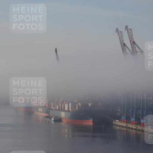 03.10.2026 - Köhlbrandbrückenlauf Tim E. http://msf.ph/oto/10606096 03.10.2026 09:10:33 Position 1  meine-sportfotos.de