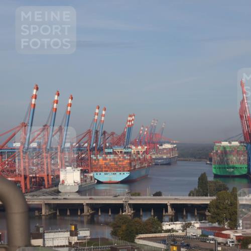 03.10.2026 - Köhlbrandbrückenlauf Tim E. http://msf.ph/oto/10606136 03.10.2026 09:12:04 Position 1  meine-sportfotos.de