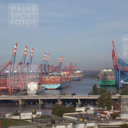 03.10.2026 - Köhlbrandbrückenlauf Tim E. http://msf.ph/oto/10606144 03.10.2026 09:12:14 Position 1 730, 000, 1000, 880, 909, 000, 000 meine-sportfotos.de