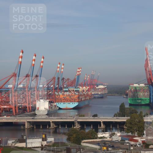 03.10.2026 - Köhlbrandbrückenlauf Tim E. http://msf.ph/oto/10606150 03.10.2026 09:12:16 Position 1  meine-sportfotos.de