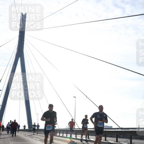 03.10.2026 - Köhlbrandbrückenlauf Tim E. http://msf.ph/oto/10610900 03.10.2026 09:25:48 Position 1  meine-sportfotos.de