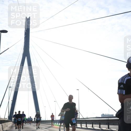 03.10.2026 - Köhlbrandbrückenlauf Tim E. http://msf.ph/oto/10611232 03.10.2026 09:26:41 Position 1  meine-sportfotos.de