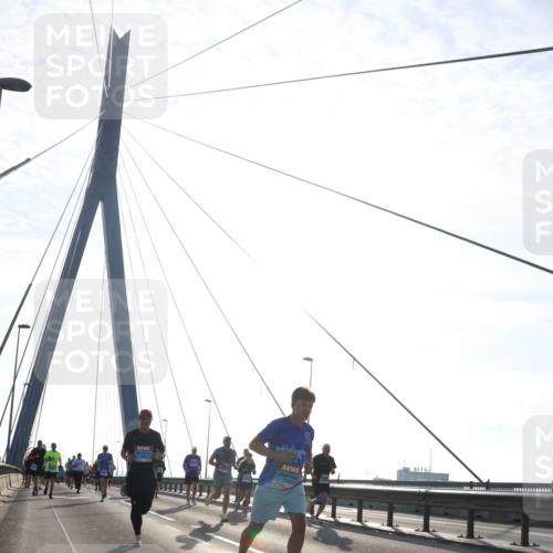 03.10.2026 - Köhlbrandbrückenlauf Tim E. http://msf.ph/oto/10611389 03.10.2026 09:26:57 Position 1  meine-sportfotos.de