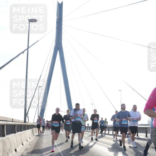03.10.2026 - Köhlbrandbrückenlauf Tim E. http://msf.ph/oto/10614446 03.10.2026 09:31:16 Position 1  meine-sportfotos.de